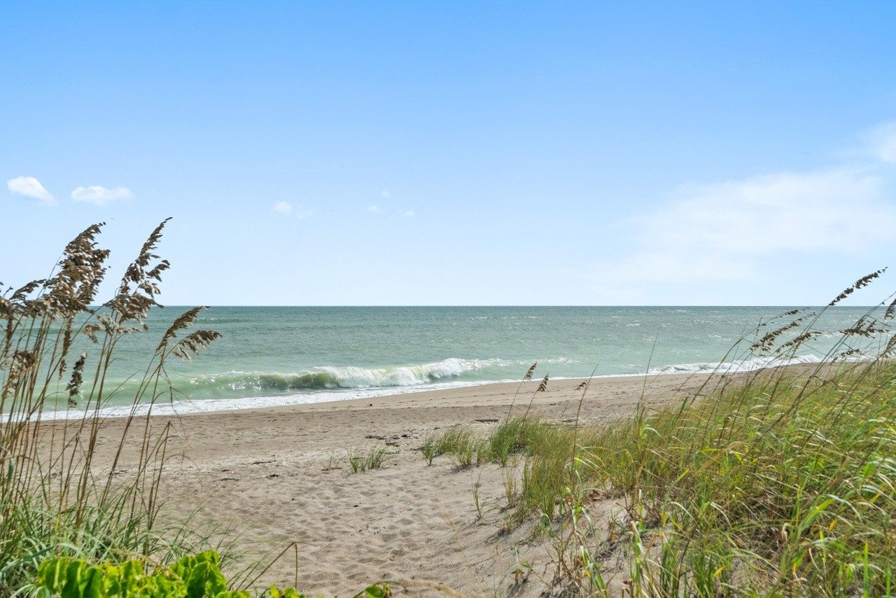 Sandy beach with sea oats beside the Atlantic Ocean